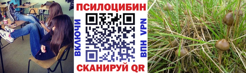 Галлюциногенные грибы MAGIC MUSHROOMS  Сковородино 