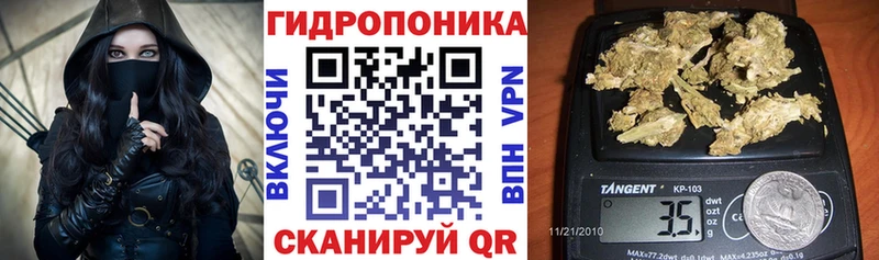 маркетплейс какой сайт  Сковородино  Каннабис индика 